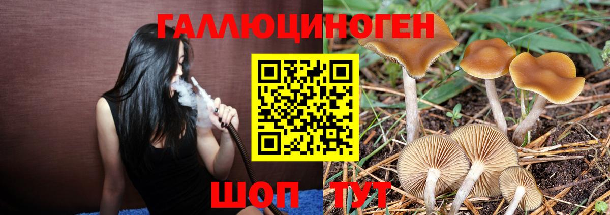 Псилоцибиновые грибы прущие грибы  Вход с VPN  Азов 