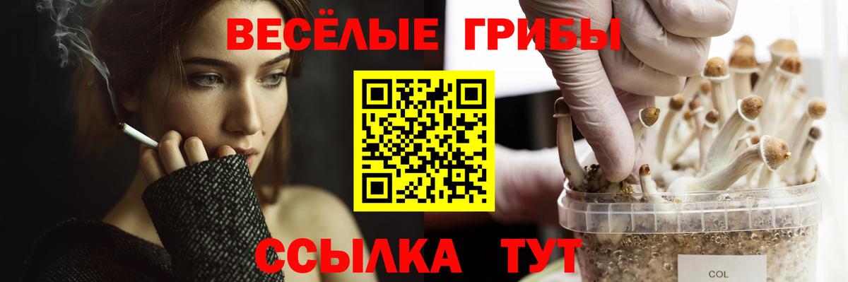 Псилоцибиновые грибы прущие грибы Азов